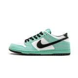 Nike Dunk SB Low Pro Zoom Anti-Slippery - apollokick.myshopify.com